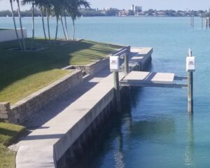 A concrete seawall next to a body of water with palm trees.